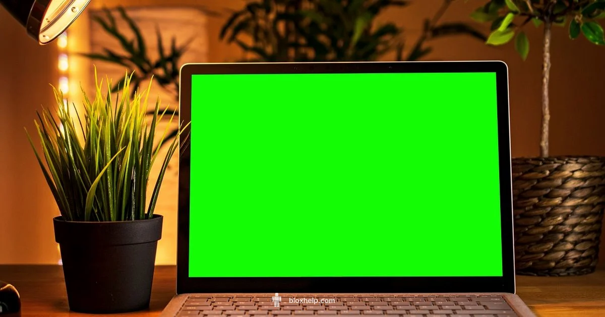 Roblox on PC Guide Roblox on PC Guide - Blox Help