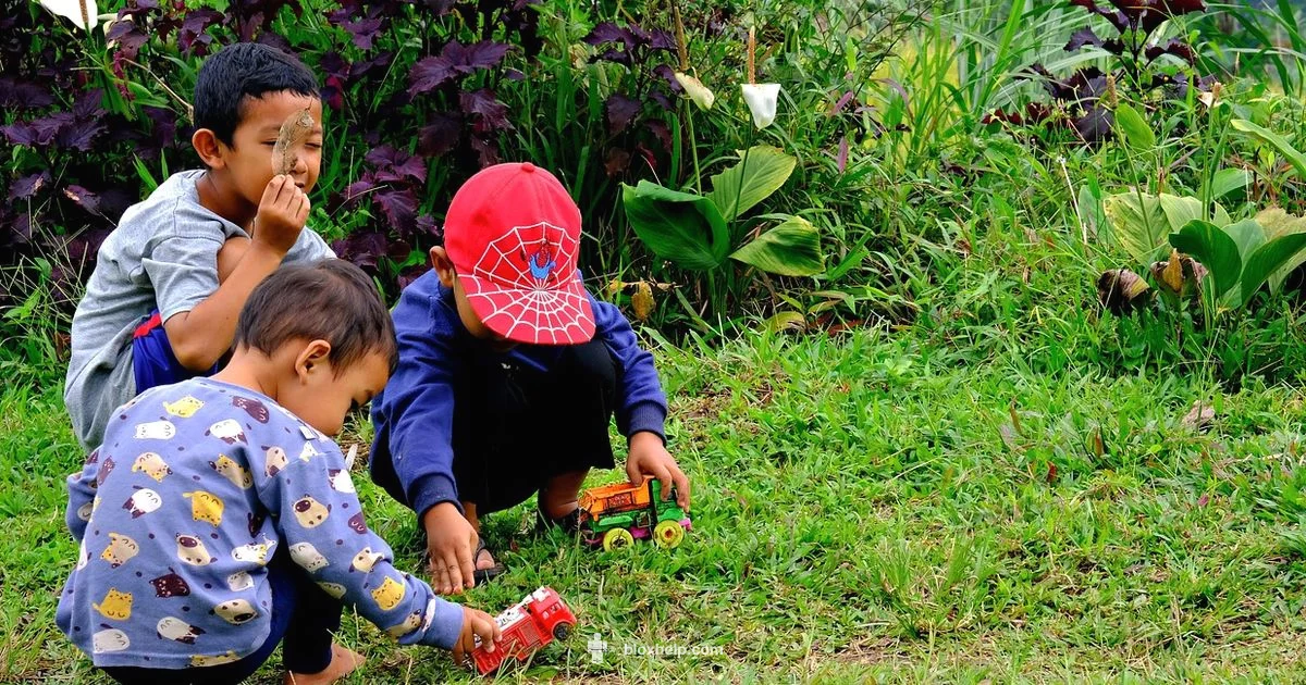 Safe Play Guide - Blox Help