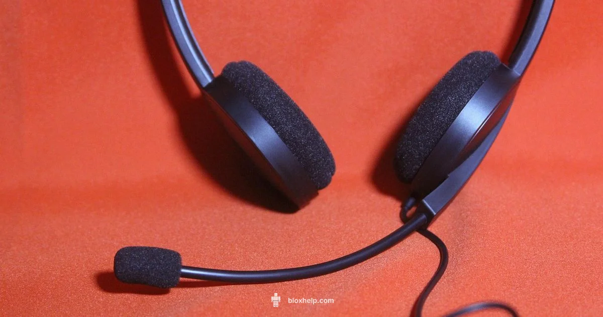 Voice Chat Guide - Blox Help