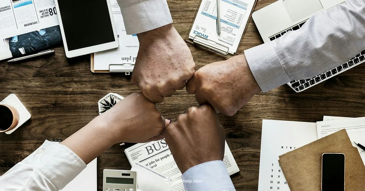 Studio Ownership - Blox Help