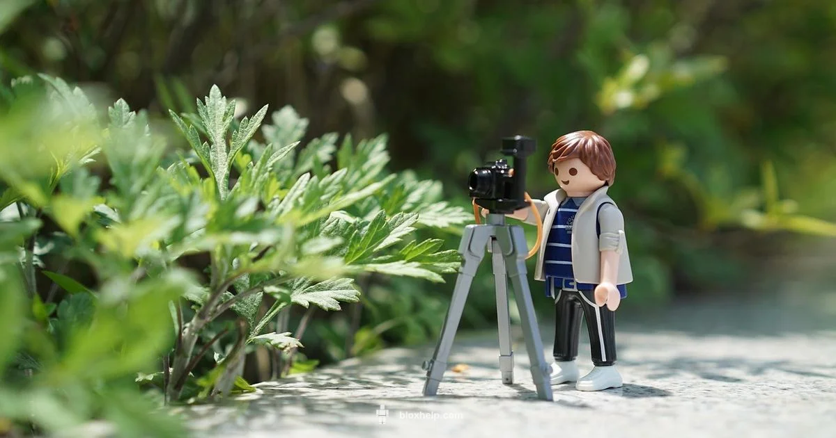 Roblox video guide - Blox Help