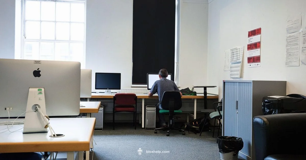 Top Roblox Games - Blox Help