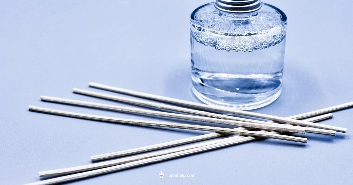 Scent con Roblox - Blox Help