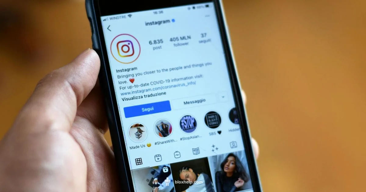 Follow on Roblox Follow on Roblox - Blox Help