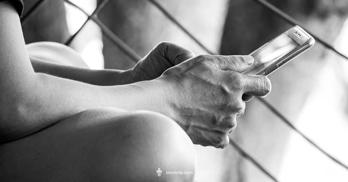 Play Roblox on Phone Play Roblox on Phone - Blox Help