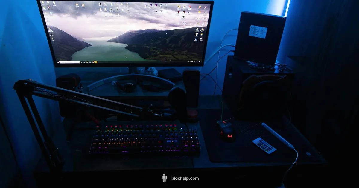 What to Roblox Now - Blox Help