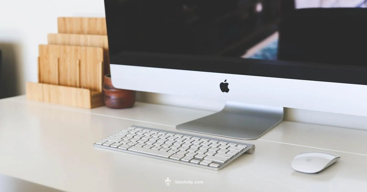 Update Roblox on Mac - Blox Help