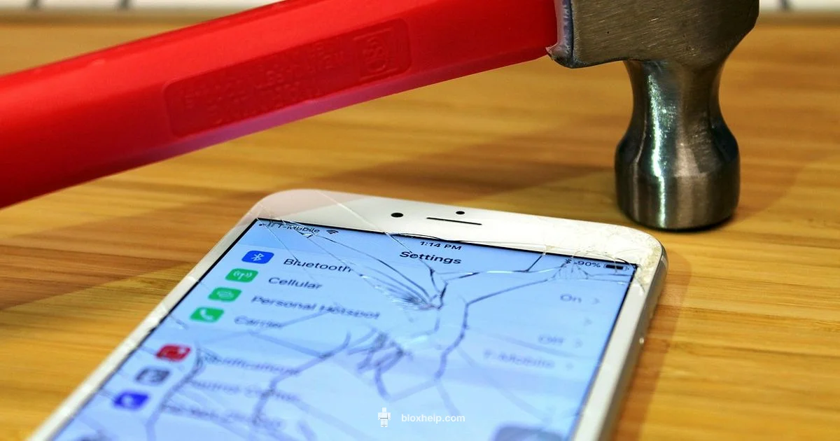 Roblox on iOS - Blox Help