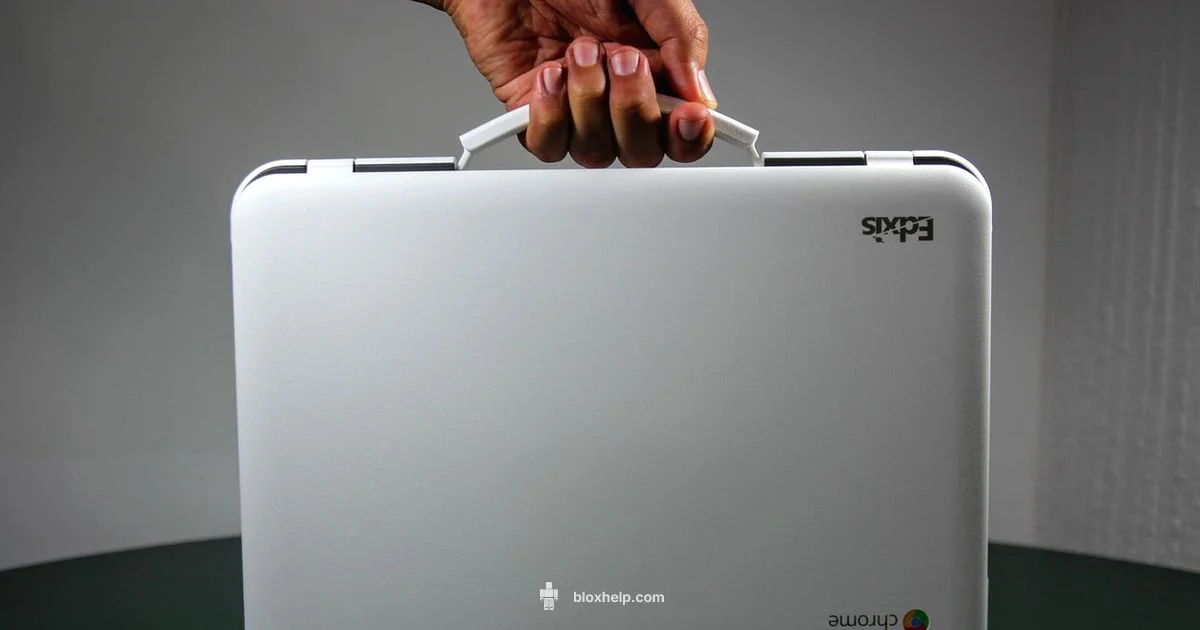 Chromebook Roblox Guide - Blox Help