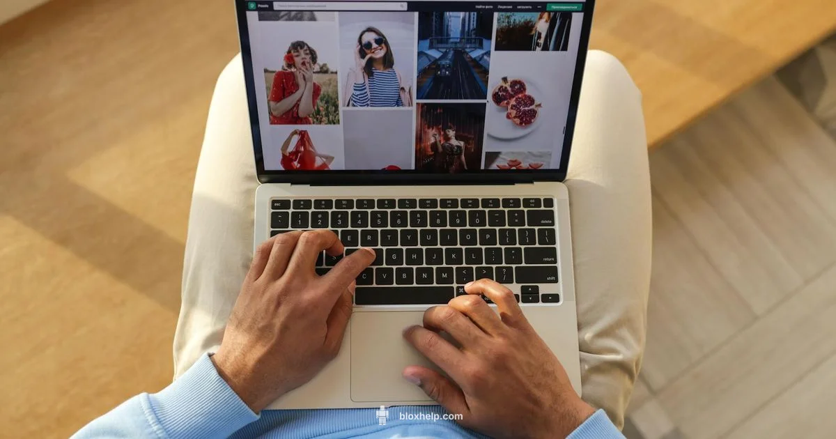 Roblox Asset Store Guide - Blox Help