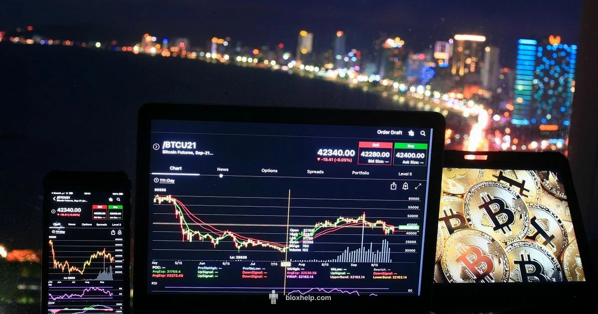 Rblxtrade Guide Rblxtrade Guide - Blox Help