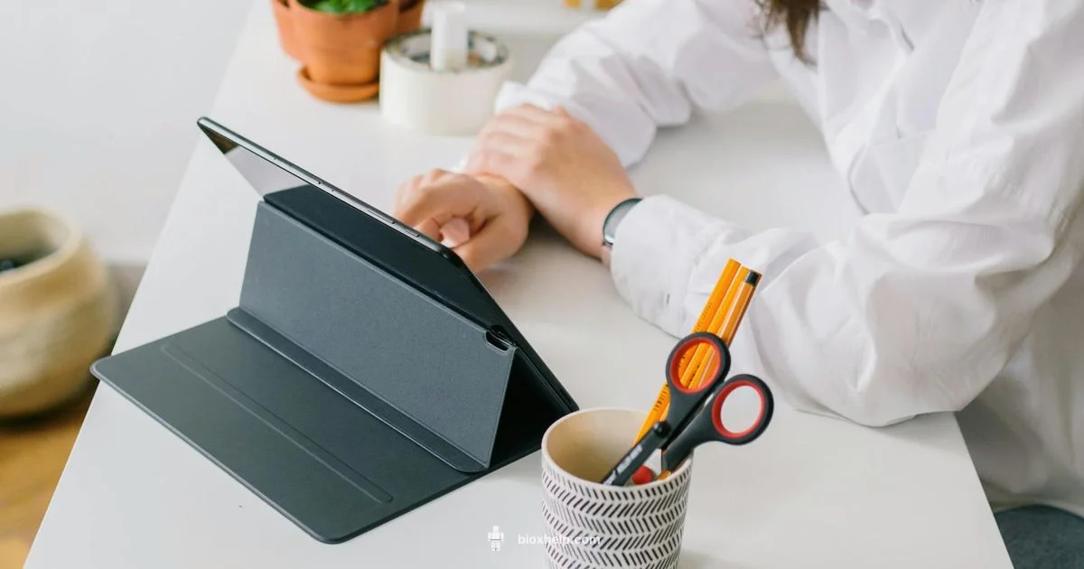 Qué es Roblox guía - Blox Help