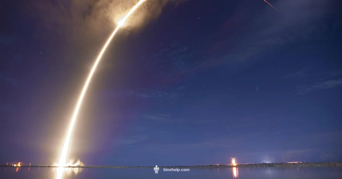 Roblox Release Timeline - Blox Help