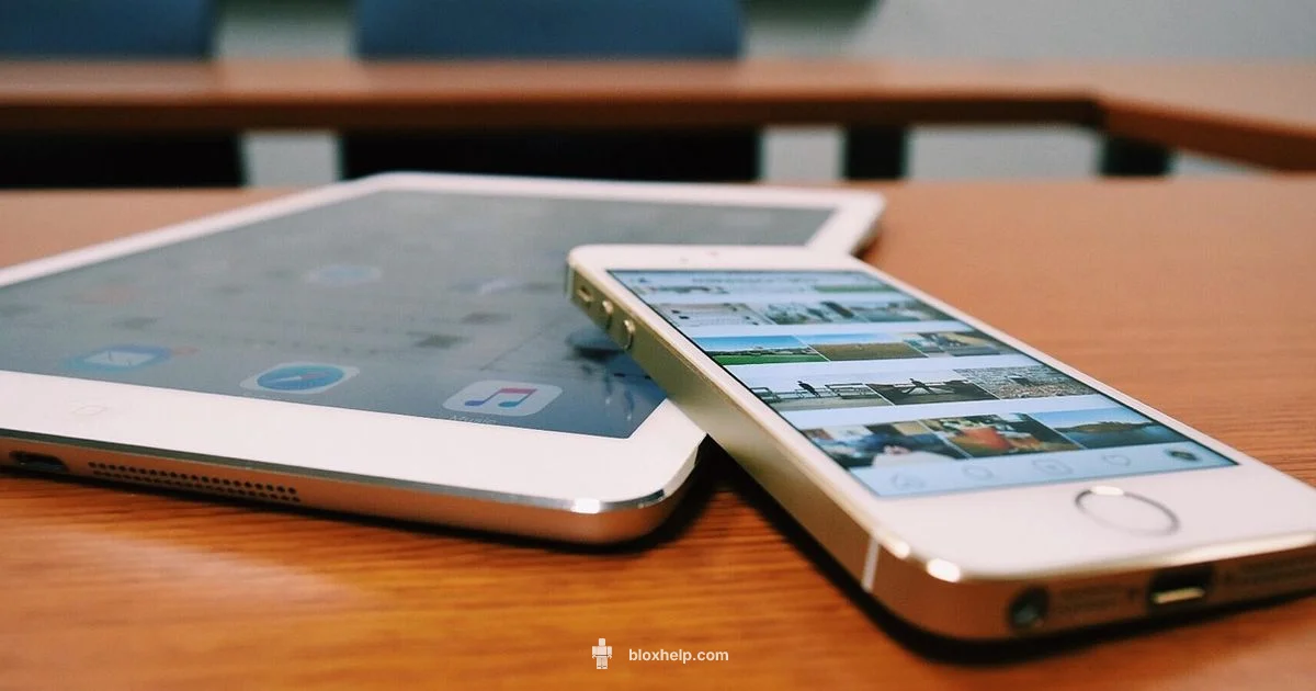 Alt Policy Guide - Blox Help