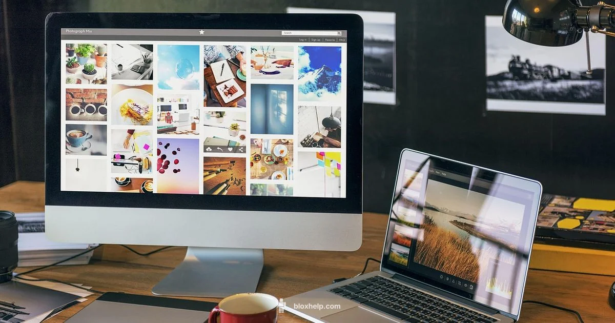 Live Roblox Status - Blox Help