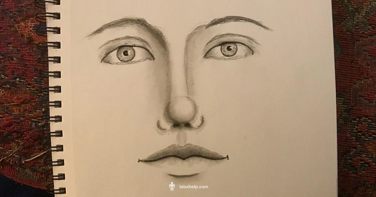 Avatar Drawing 101 - Blox Help