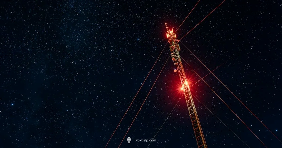 Codes & Rewards - Blox Help