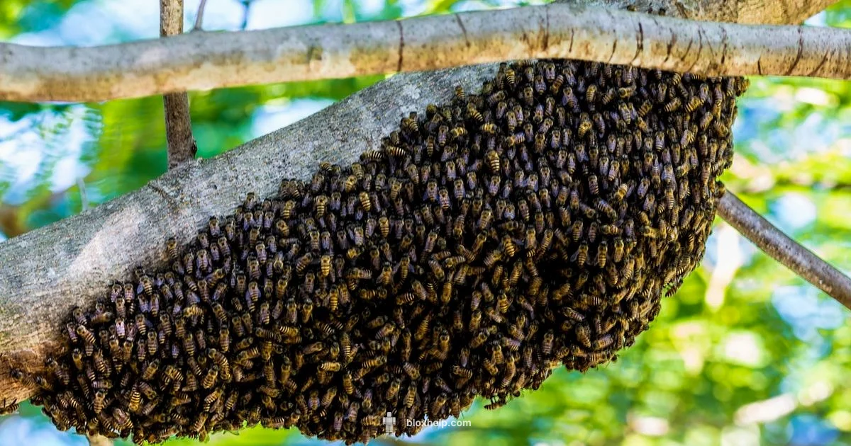 Bee Swarm Guide - Blox Help