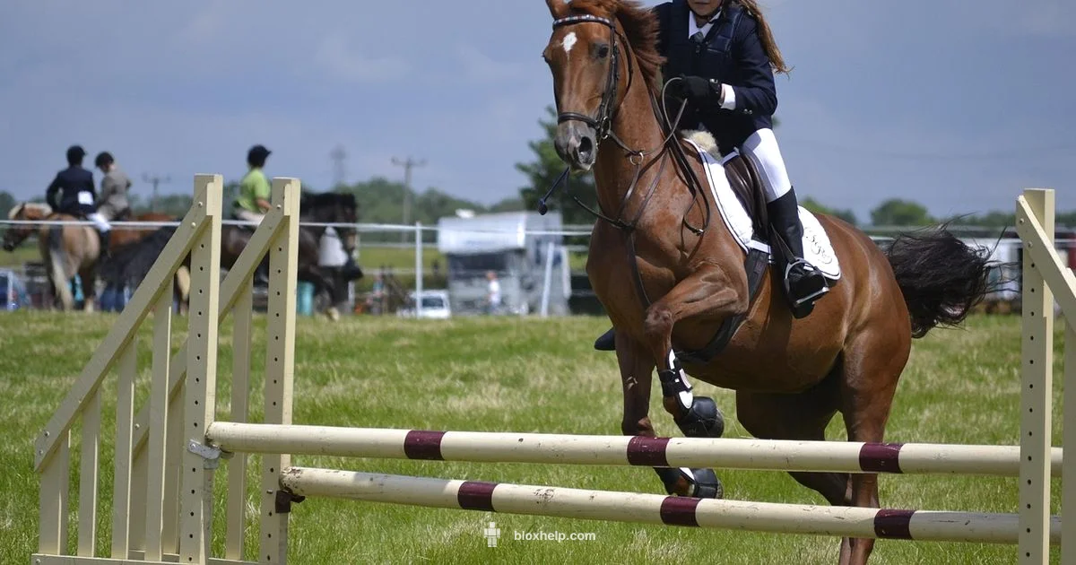 Top Roblox Obbys 2026 - Blox Help