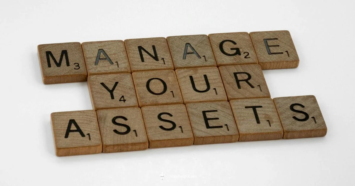 Creator Marketplace - Blox Help