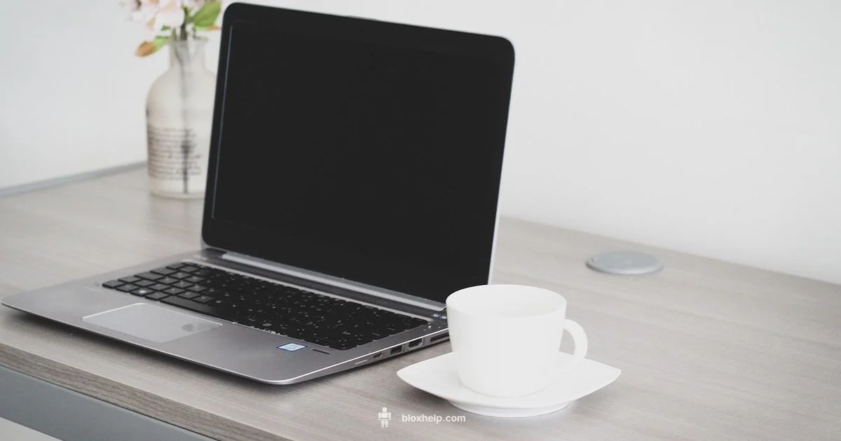 Roblox Help in English