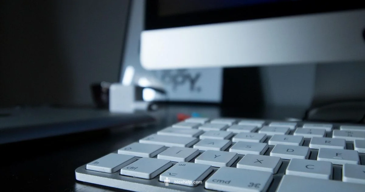 Roblox Dashboard Setup - Blox Help