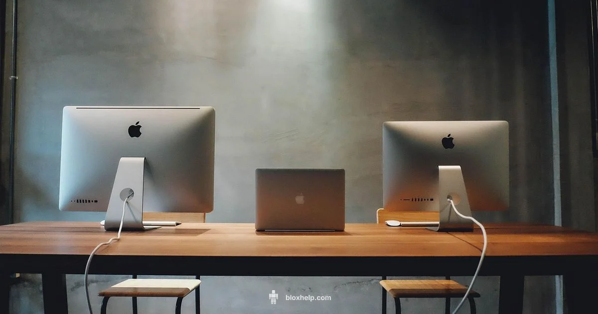 Types of Roblox Games Types of Roblox Games - Blox Help