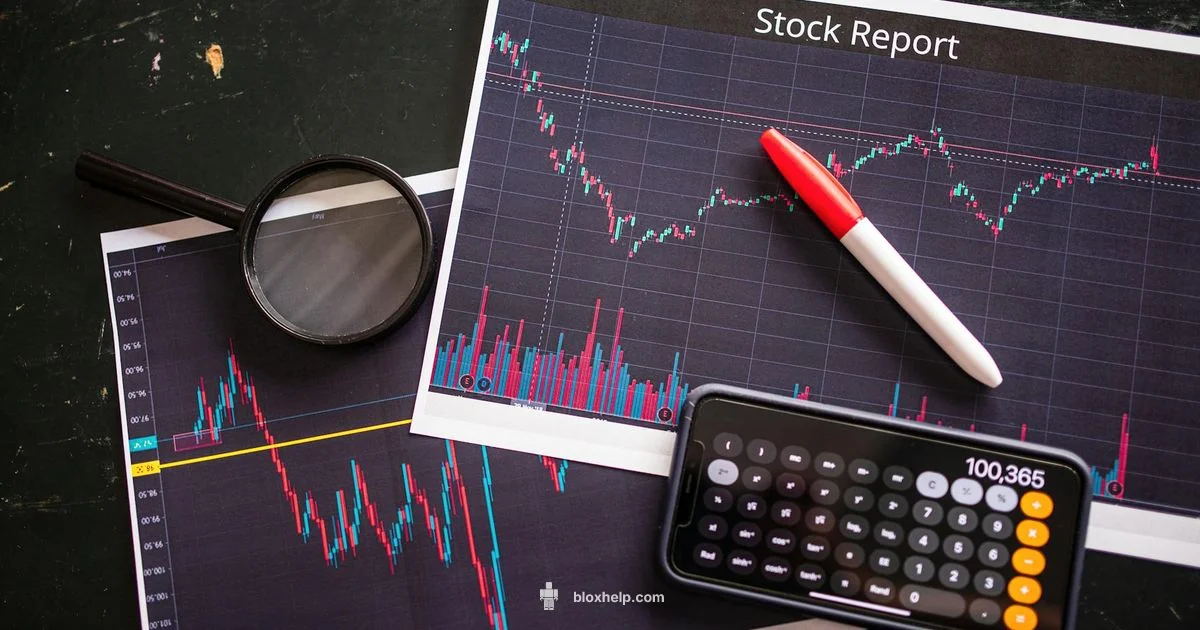 Roblox Investment Guide - Blox Help