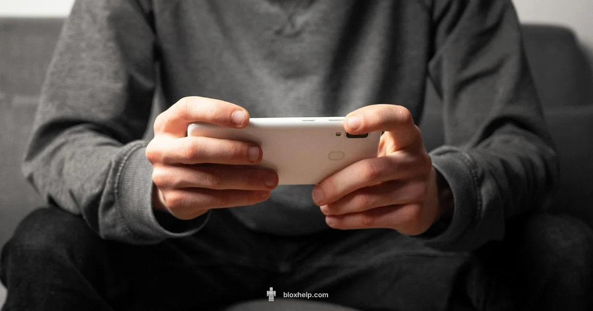 Roblox Legal Guide - Blox Help