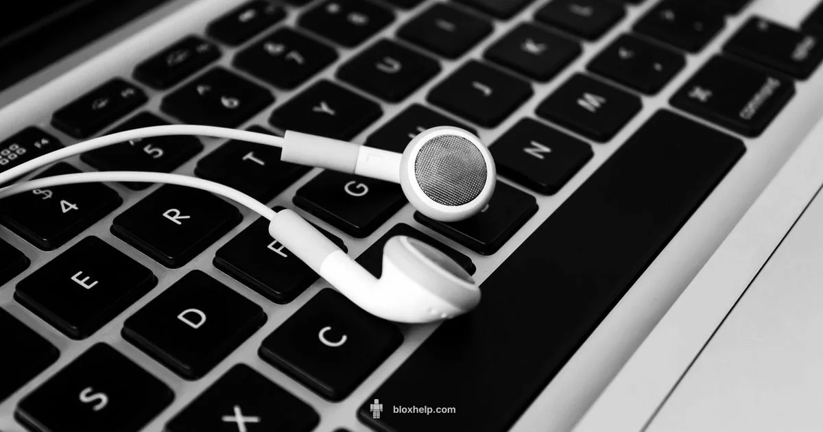 Roblox Username Ideas Roblox Username Ideas - Blox Help