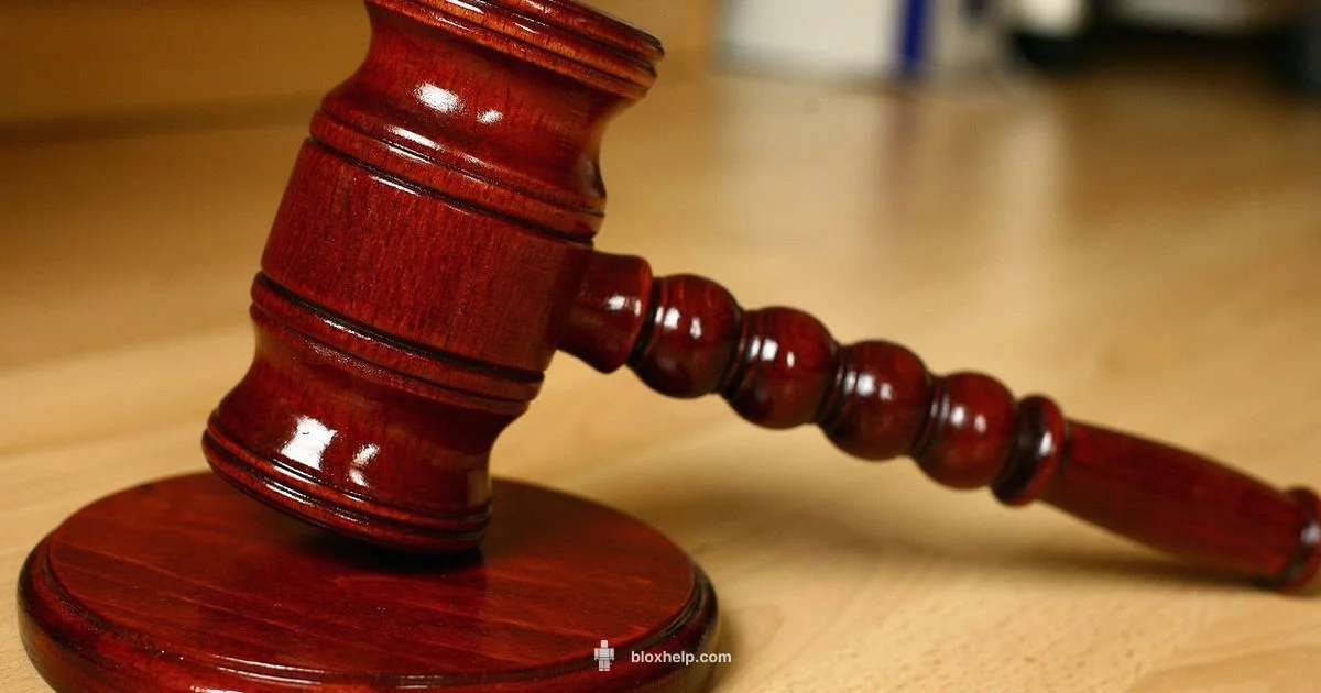 Case Update - Blox Help