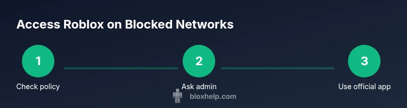 Infographic showing legitimate steps to access Roblox on restricted networks