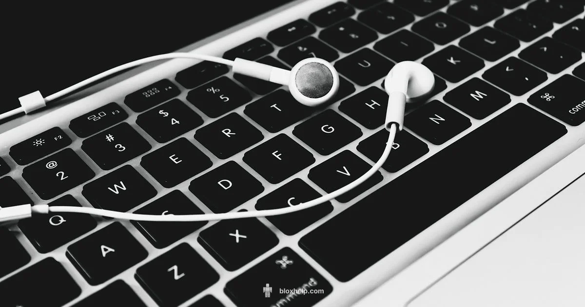 Song IDs 2025 Guide - Blox Help