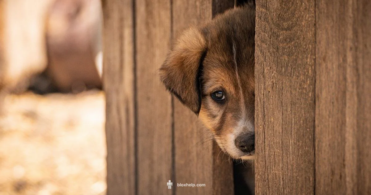 Adopt Me Guide - Blox Help