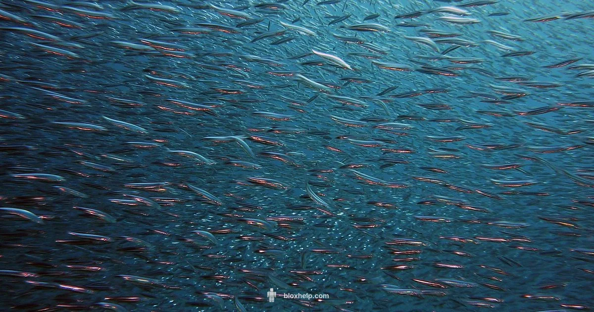 Fisch Roblox Guide - Blox Help