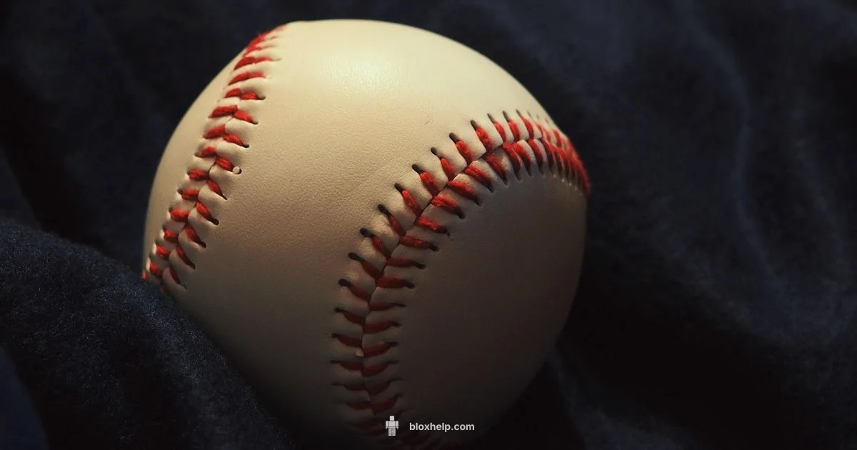 Guarding Roblox Item Safety - Blox Help