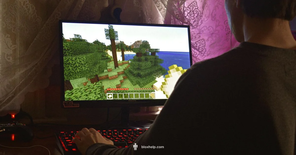 Roblox on PC Size - Blox Help