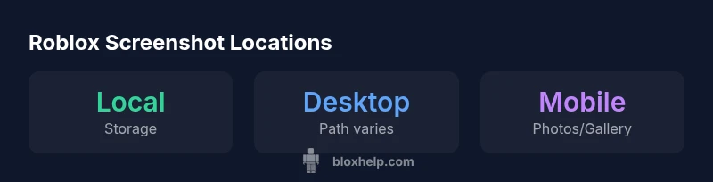 Infographic showing Roblox screenshot locations on desktop and mobile