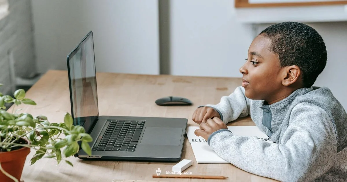 Creator Match Quiz - Blox Help