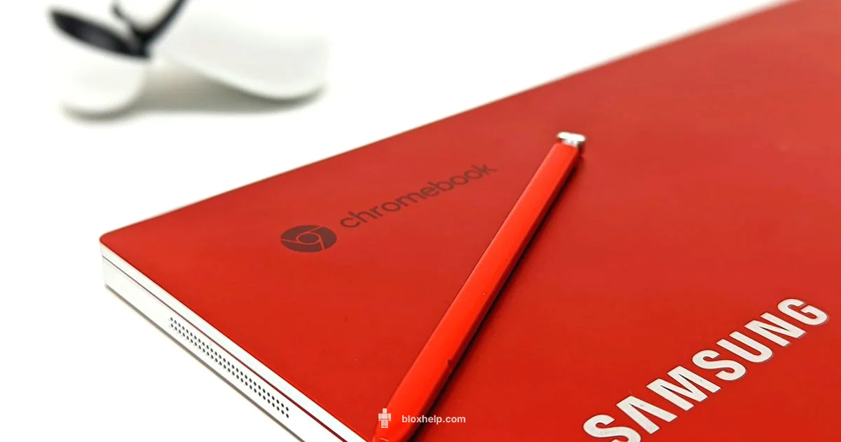 Roblox on Chromebook - Blox Help