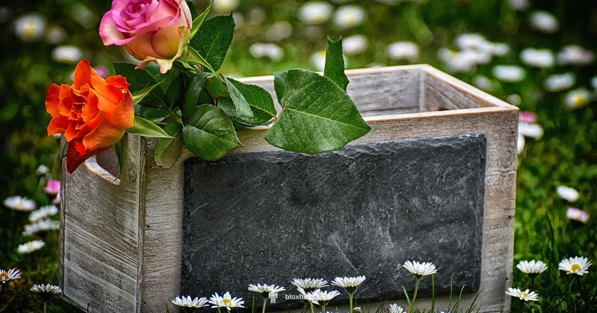 Gift Card Value - Blox Help