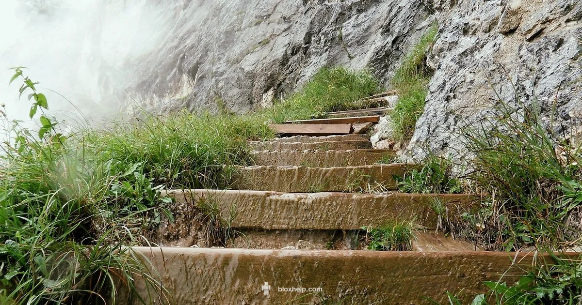 Most Stages Obby - Blox Help