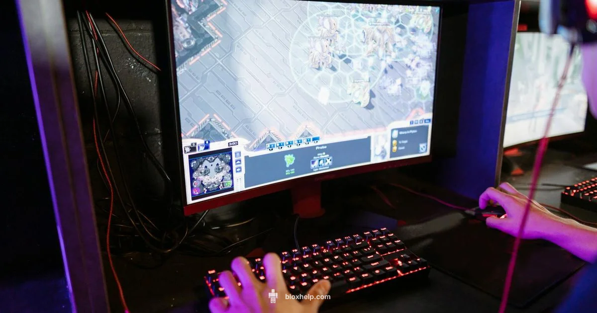 Does Roblox Need WiFi - Blox Help