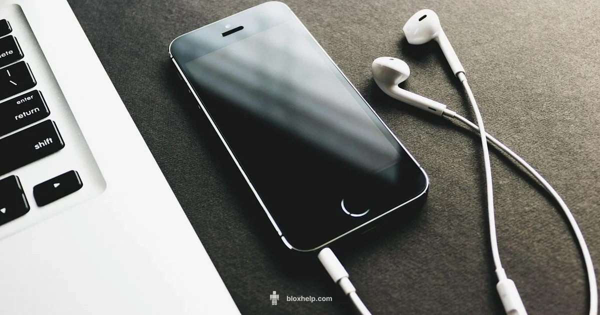 Roblox Account Guide - Blox Help