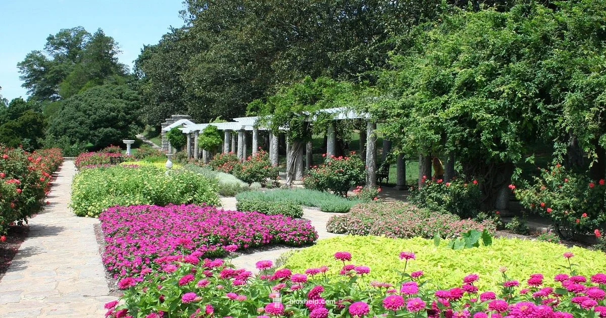 Garden Layout Ideas - Blox Help