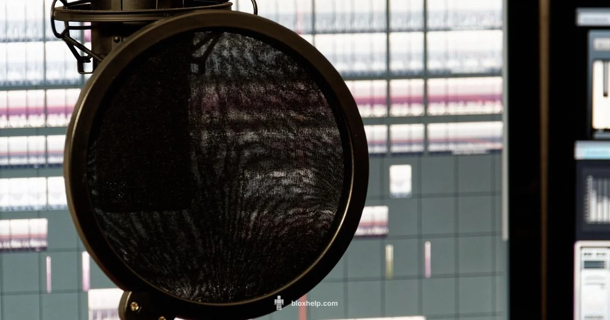 Roblox vs Steam - Blox Help