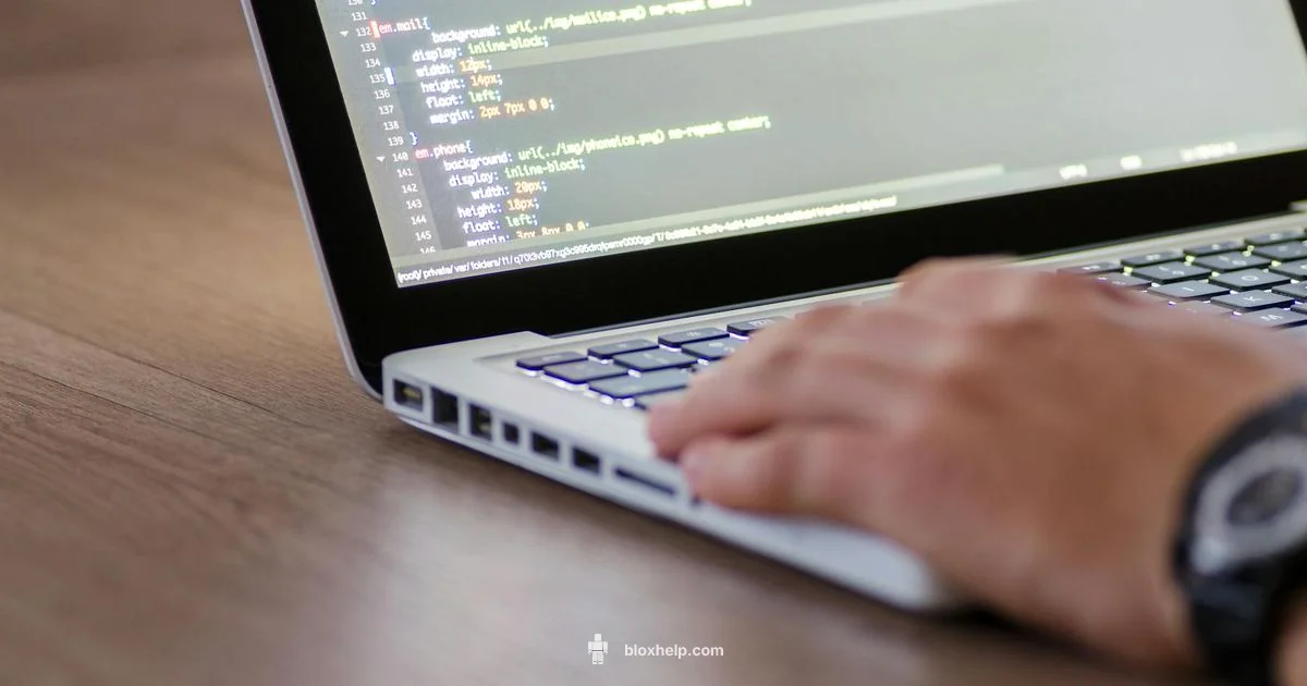 Luau Guide - Blox Help