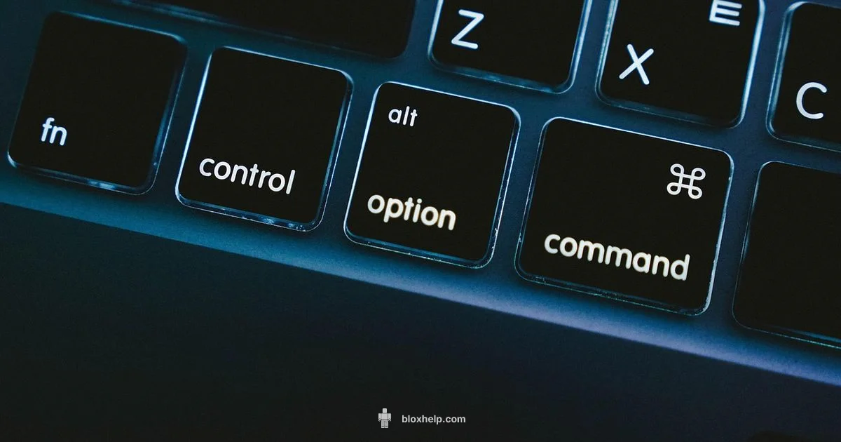 Roblox on MacBook - Blox Help