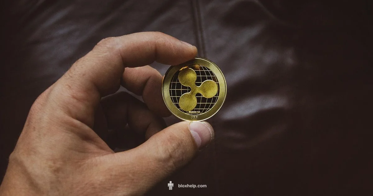 Robux Overview - Blox Help