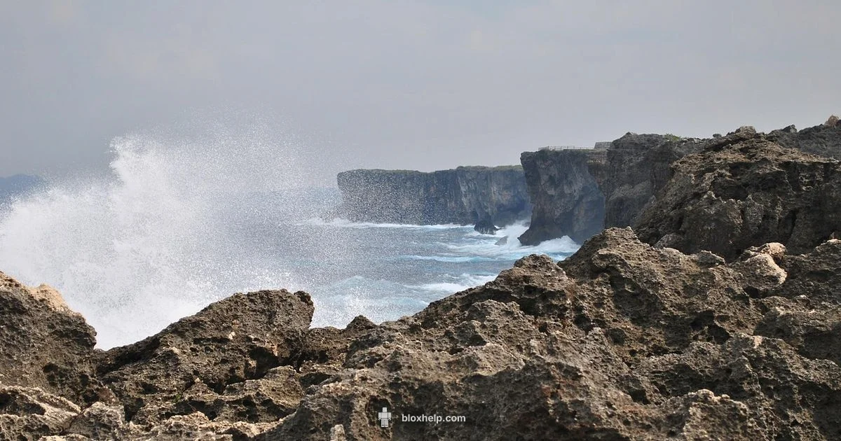 Roblox Account Setup Roblox Account Setup - Blox Help